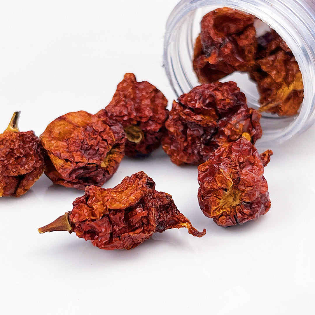 Spilled Bottle of Carolina Reaper Pepper Pods - Dried, red, intensely hot pods